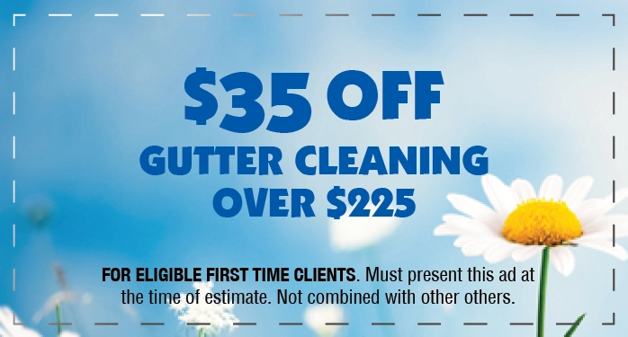 Window Cleaning Coupon